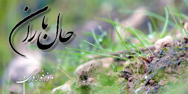 حال باران/ شعری زیبا از نوذرفولای