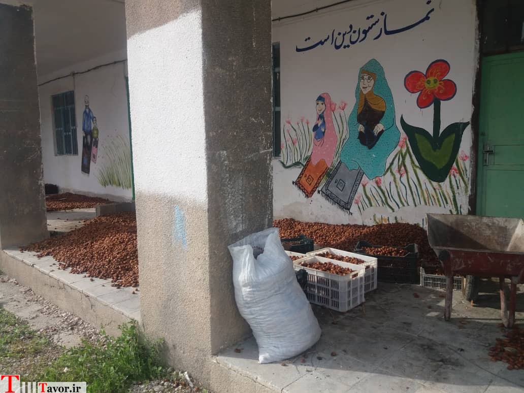 دبستان مولوی تنگ زرد یا انبار قصب و خرما