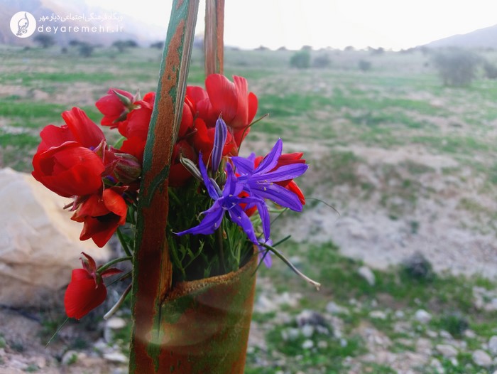 بوی بهار ۴ (تصاویری از طبیعت طلحه)