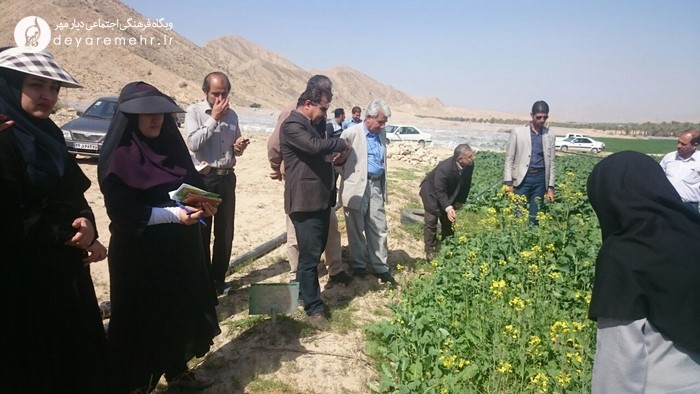 برگزاری گارگاه آموزشی ترویج کشت کلزا در روستای خون + عکس