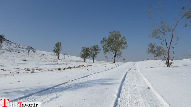 بارش برف در بخش بوشکان + تصاویر