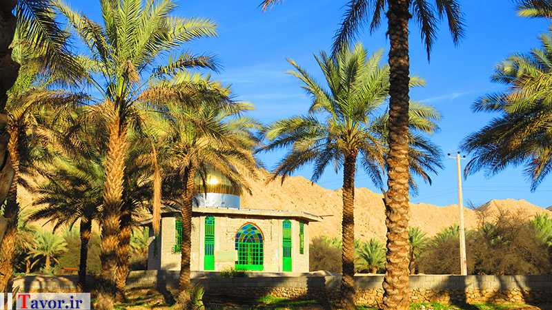 روستای تنگ زرد / عکس