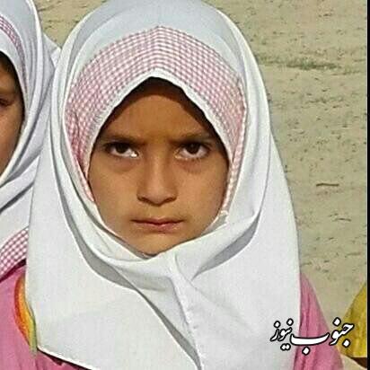 حادثه دلخراش کشته شدن دانش آموز بوشکانی / مقاله
